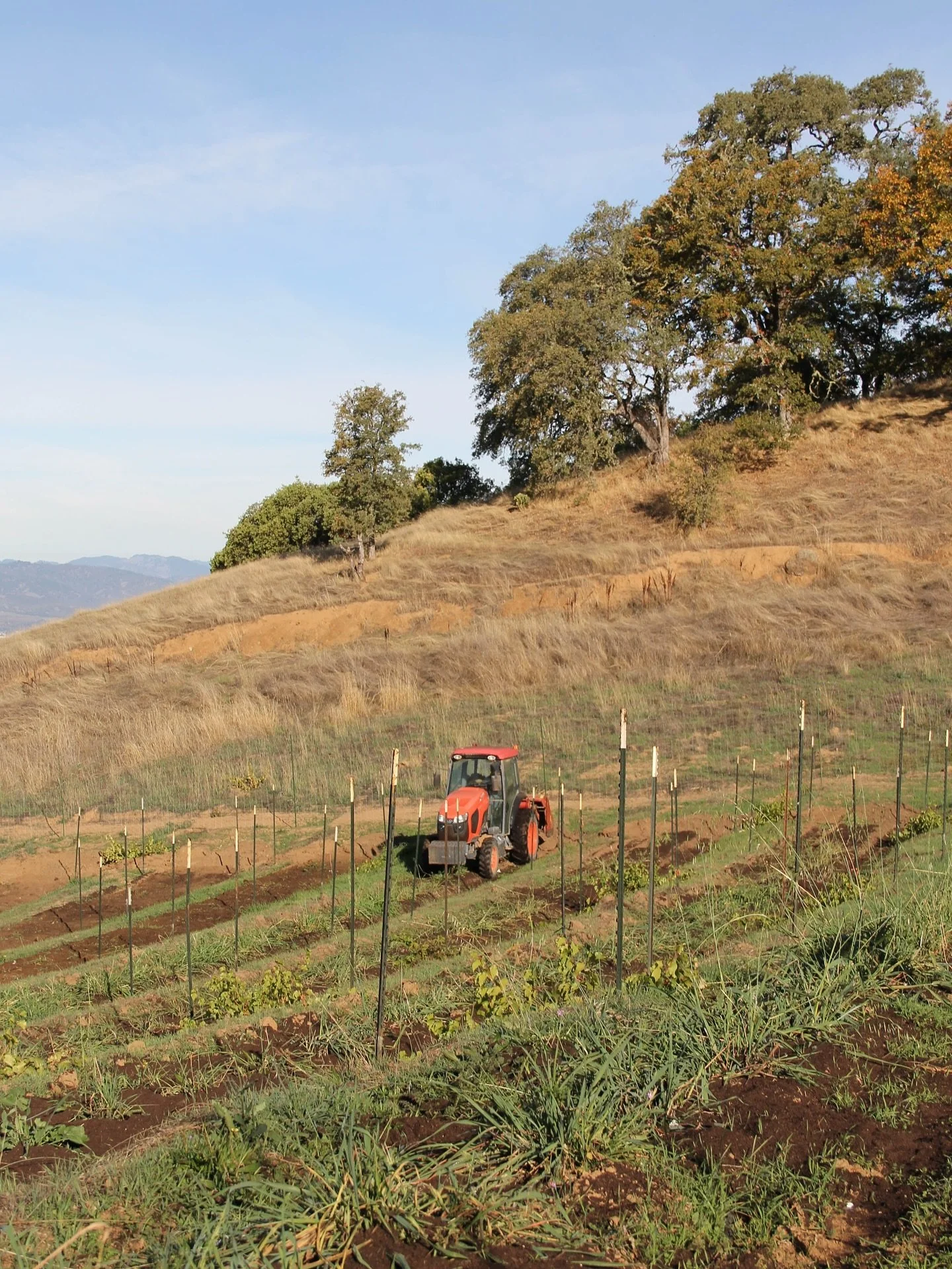 Farming doesn&rsquo;t stop for us once the crop comes down in fall. We will be spending the next few weeks tending to our garden soil and planting cover crops for the spring. 

First step is to mix in a high quality compost which revitalizes and adds