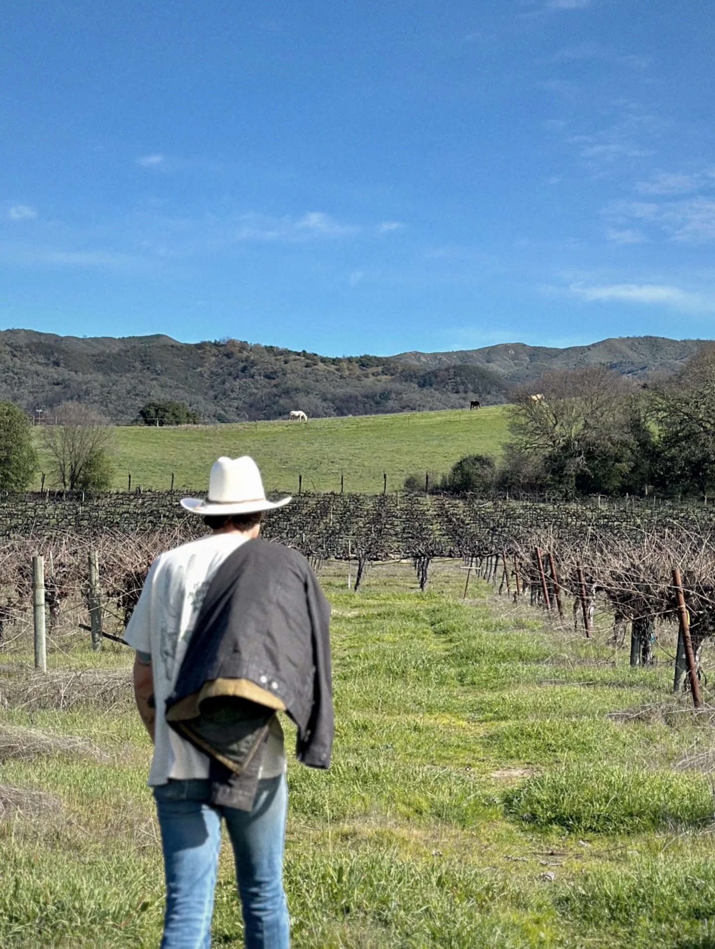 We don&rsquo;t talk about it often- But nestled at the foot of our Eagle Point farms lays the Sterling Vineyard where we farm old vine Chenin Blanc, Zinfandel, and Cabernet Sauvignon. 

Pruning of the Chenin was just completed and shortly we will be 