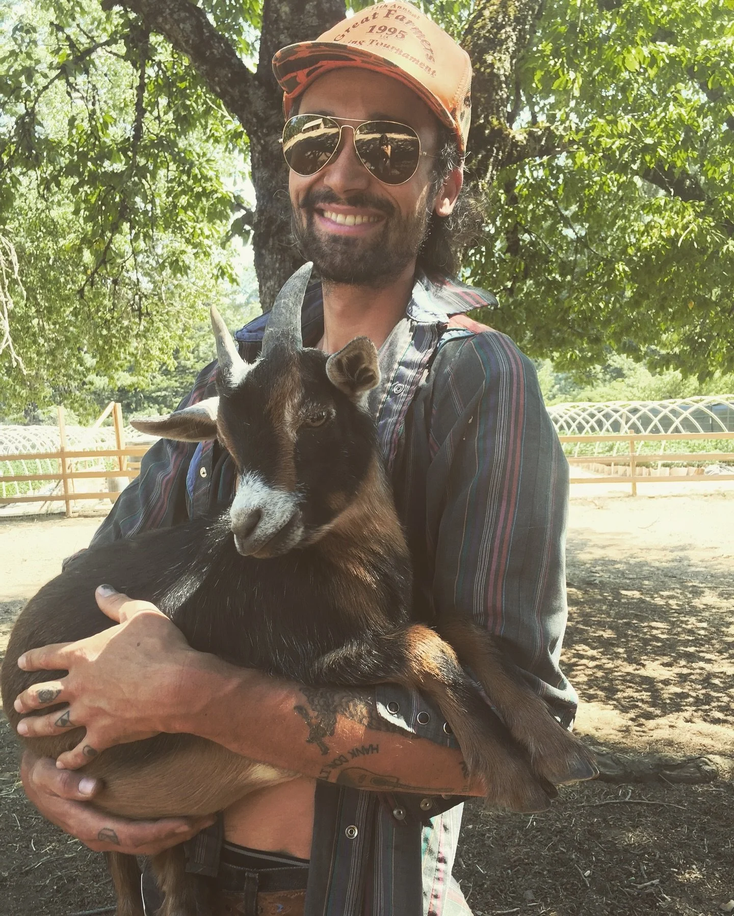 A little farming flashback for y&rsquo;all today. 2016 in front of our hoops at Spy Rock. A member of our goat flock with the Old Goat himself.