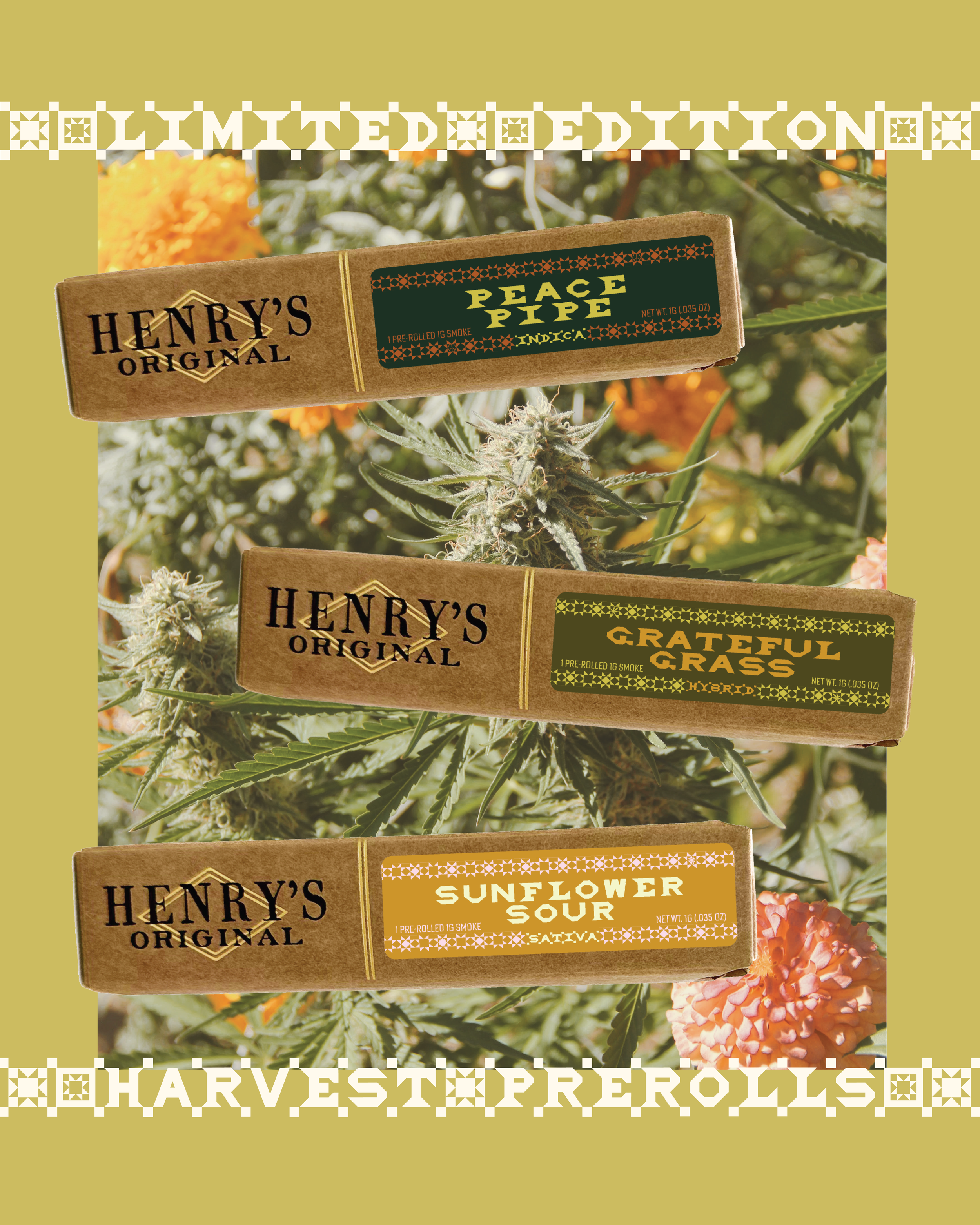 HARVEST PROMO post.png