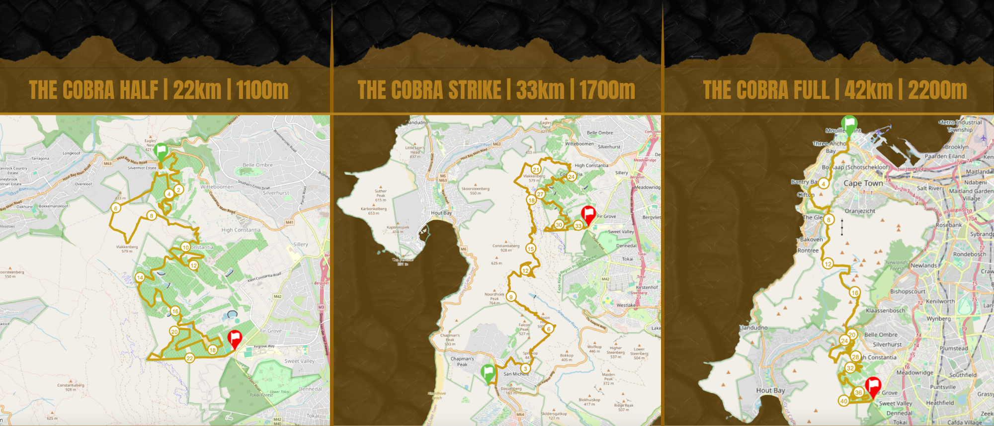 Maps illustrating three stages of a trail race: The Cobra Half (22 km, 1100 m elevation gain), The Cobra Strike (33 km, 1700 m elevation), and The Cobra Full (42 km, 2200 m elevation). Each map shows the route with markers at key points, starting and ending points, and surrounding terrain features.