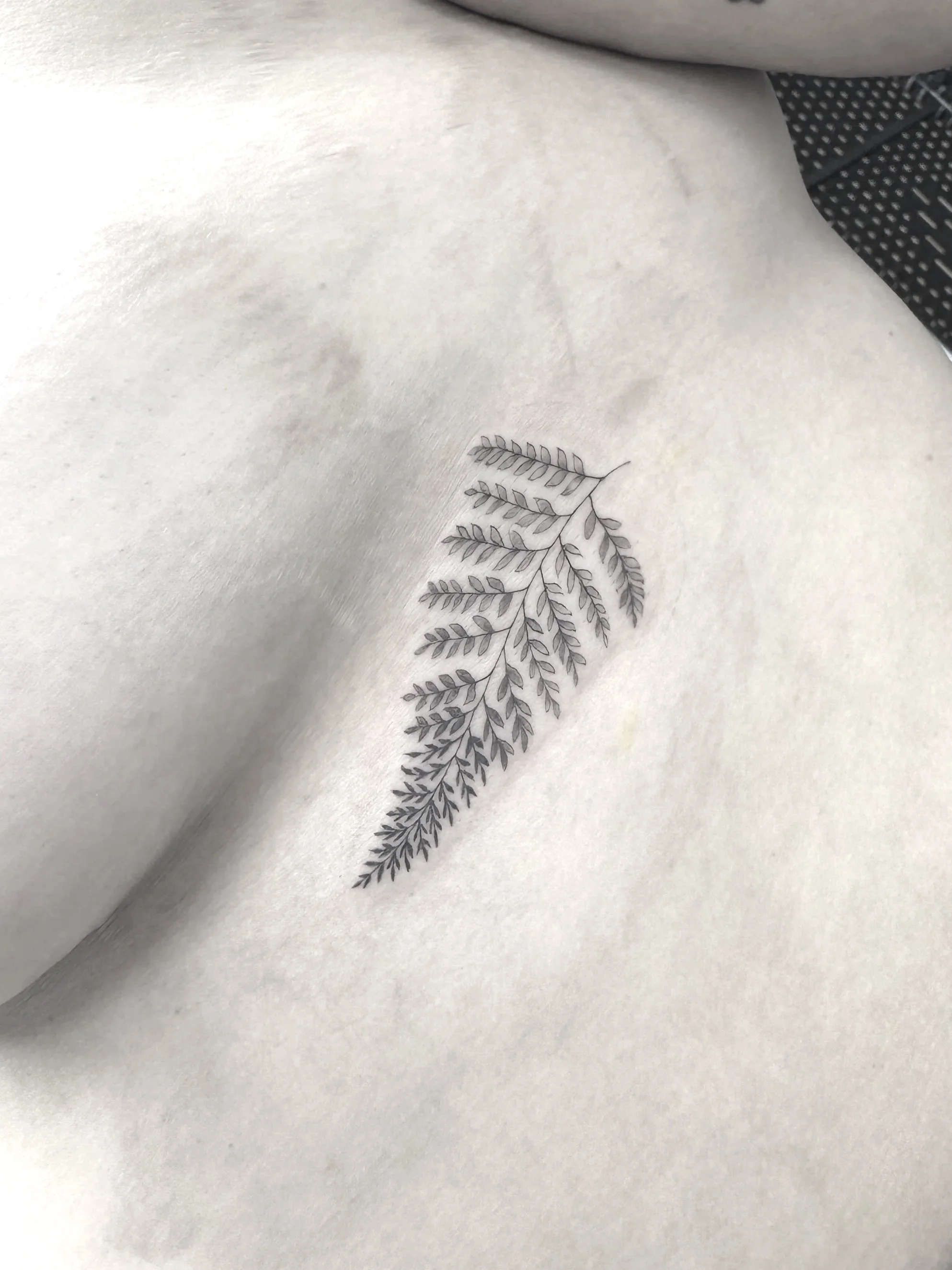 Small fineline fern tat ink souvenir New Zealand Otago Southland tourist must do