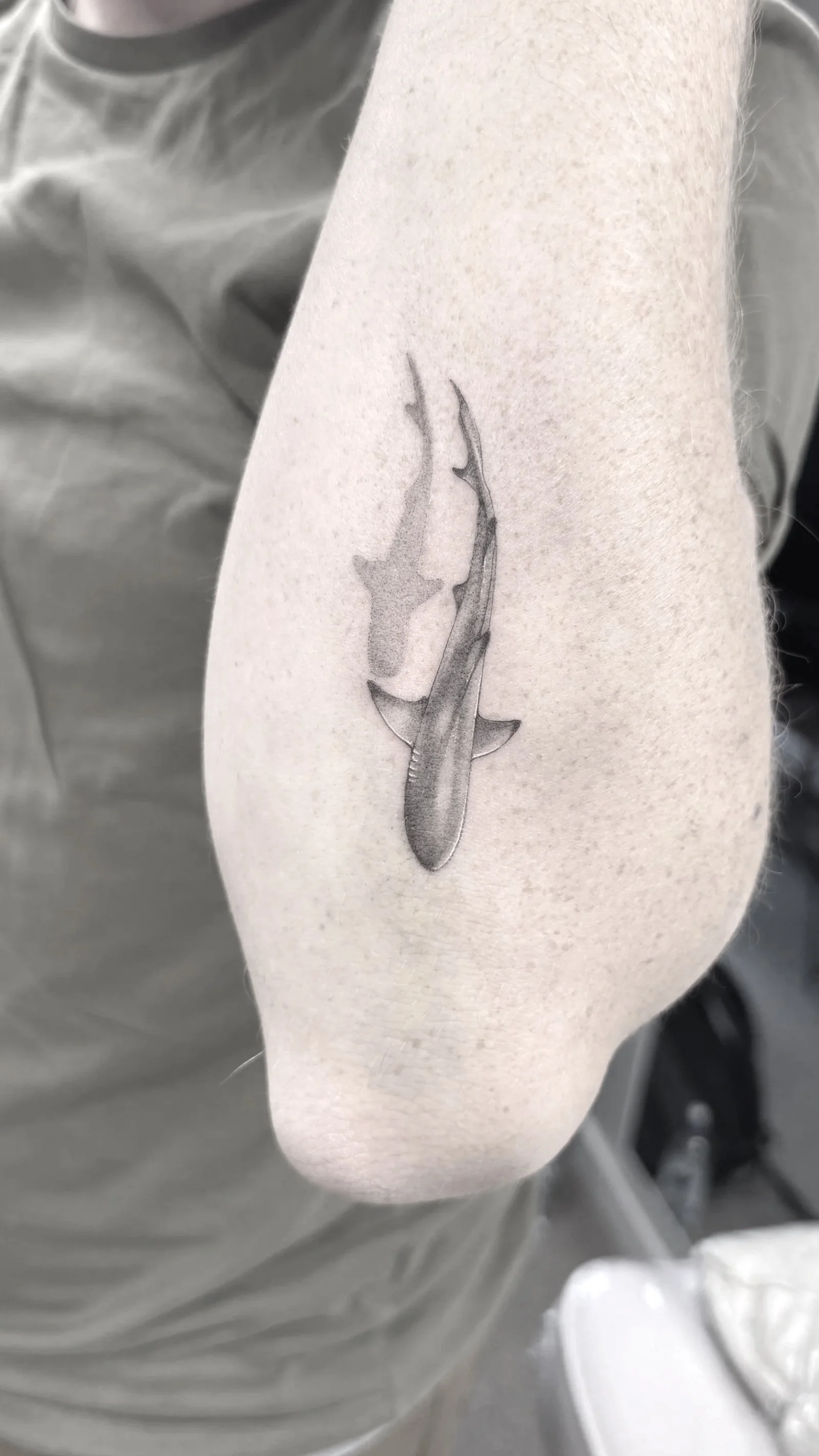 Mini small tat shark shaded real realistic shadow arm New Zealand tourist memorial 