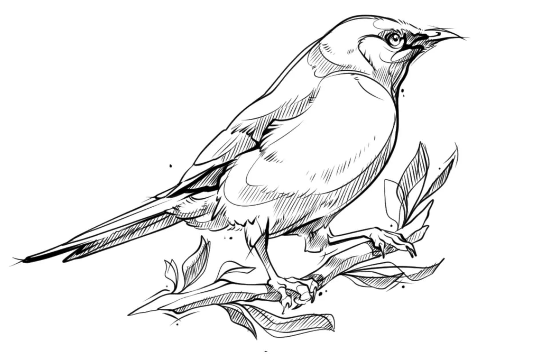 Size: 14cm | Price: $550