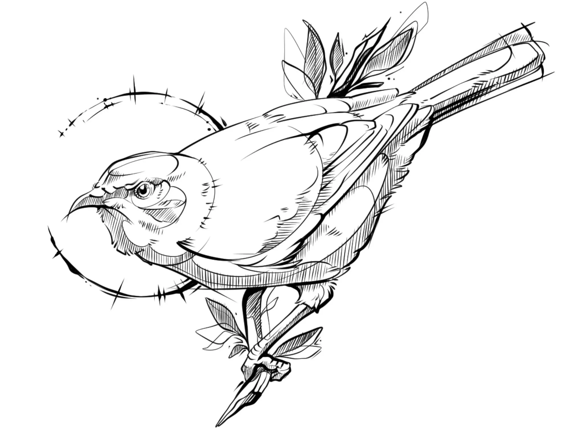 Size: 16cm | Price: $600