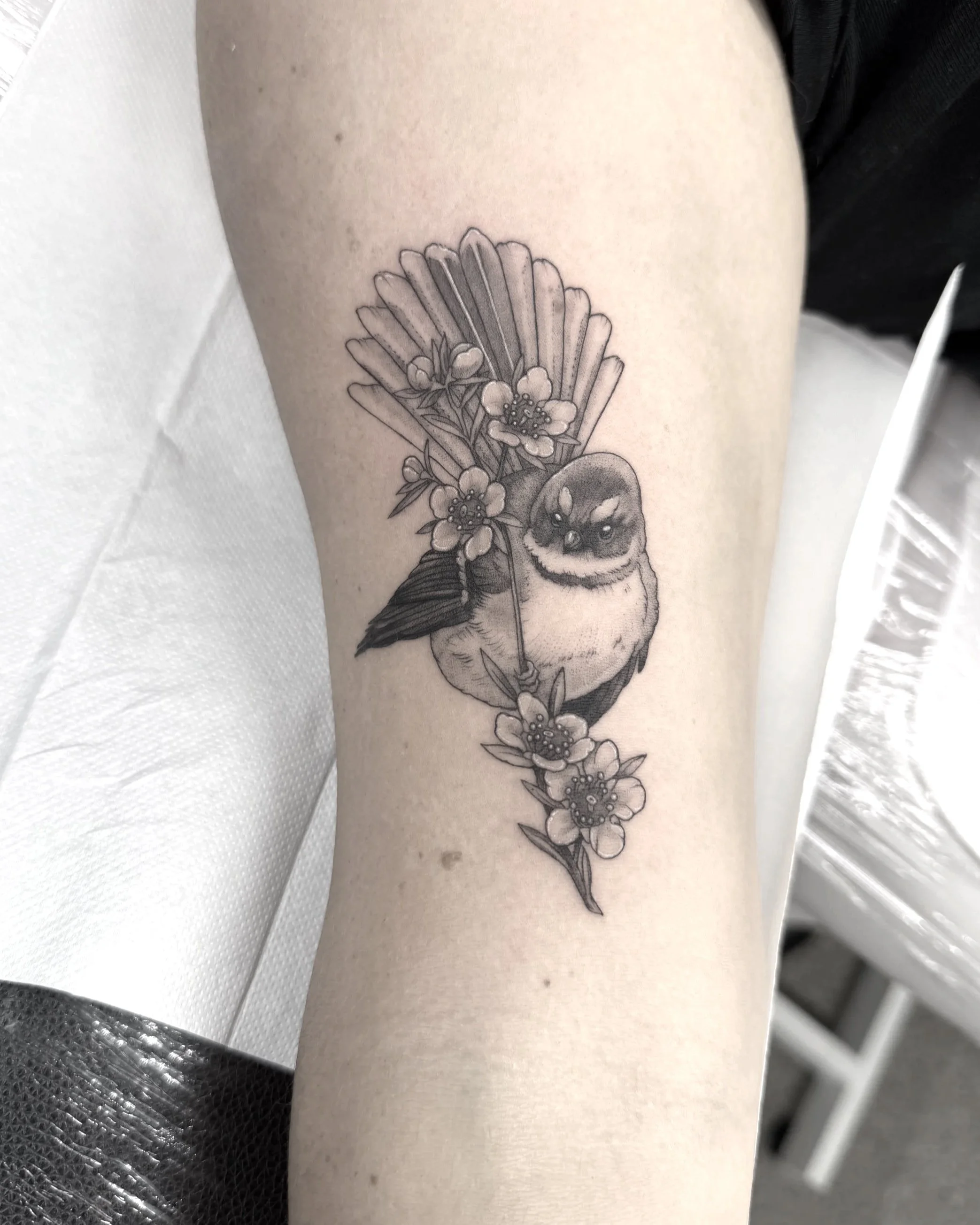 Cute fantail or piwakawaka on Manuka flower, fineline on arm, black and grey, Queenstown and open bookings