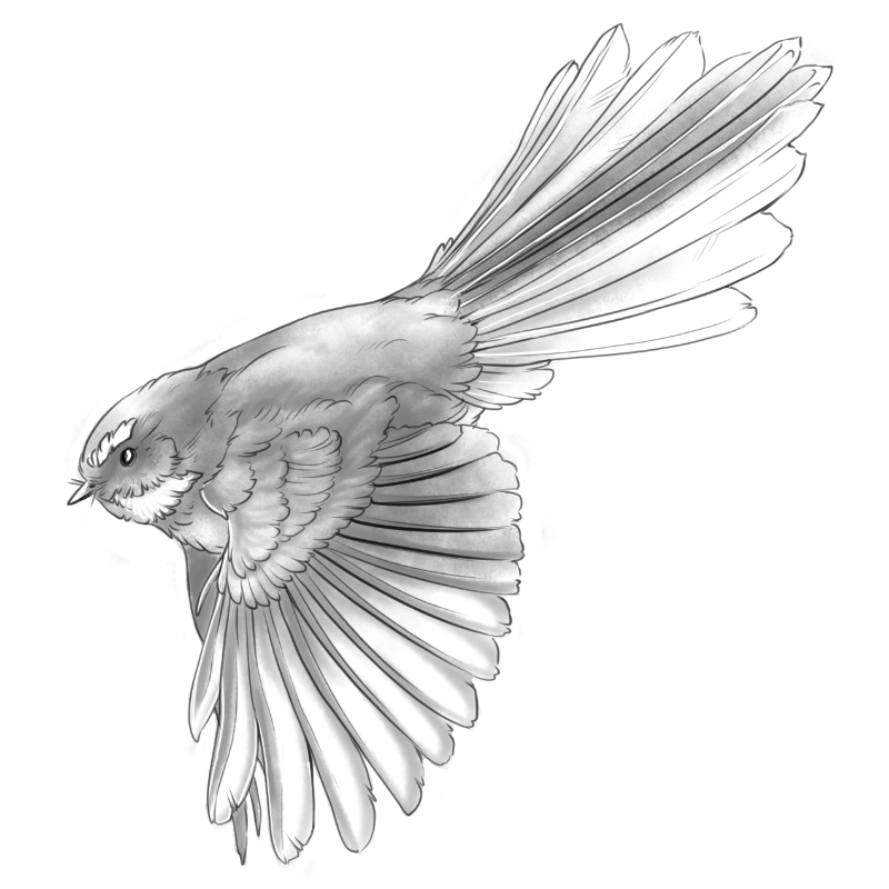 Size: 12cm | Price: $450