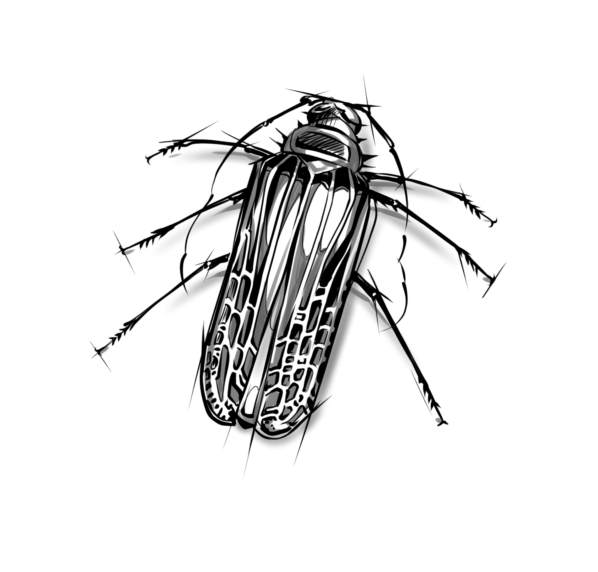 Size: 10cm | Price: $350