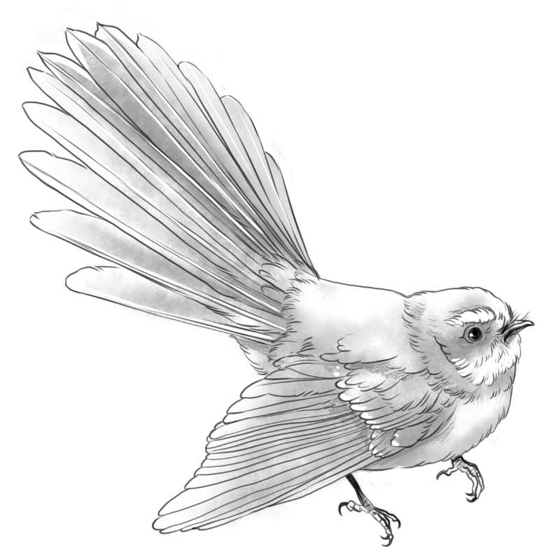 Size: 12cm | Price: $450