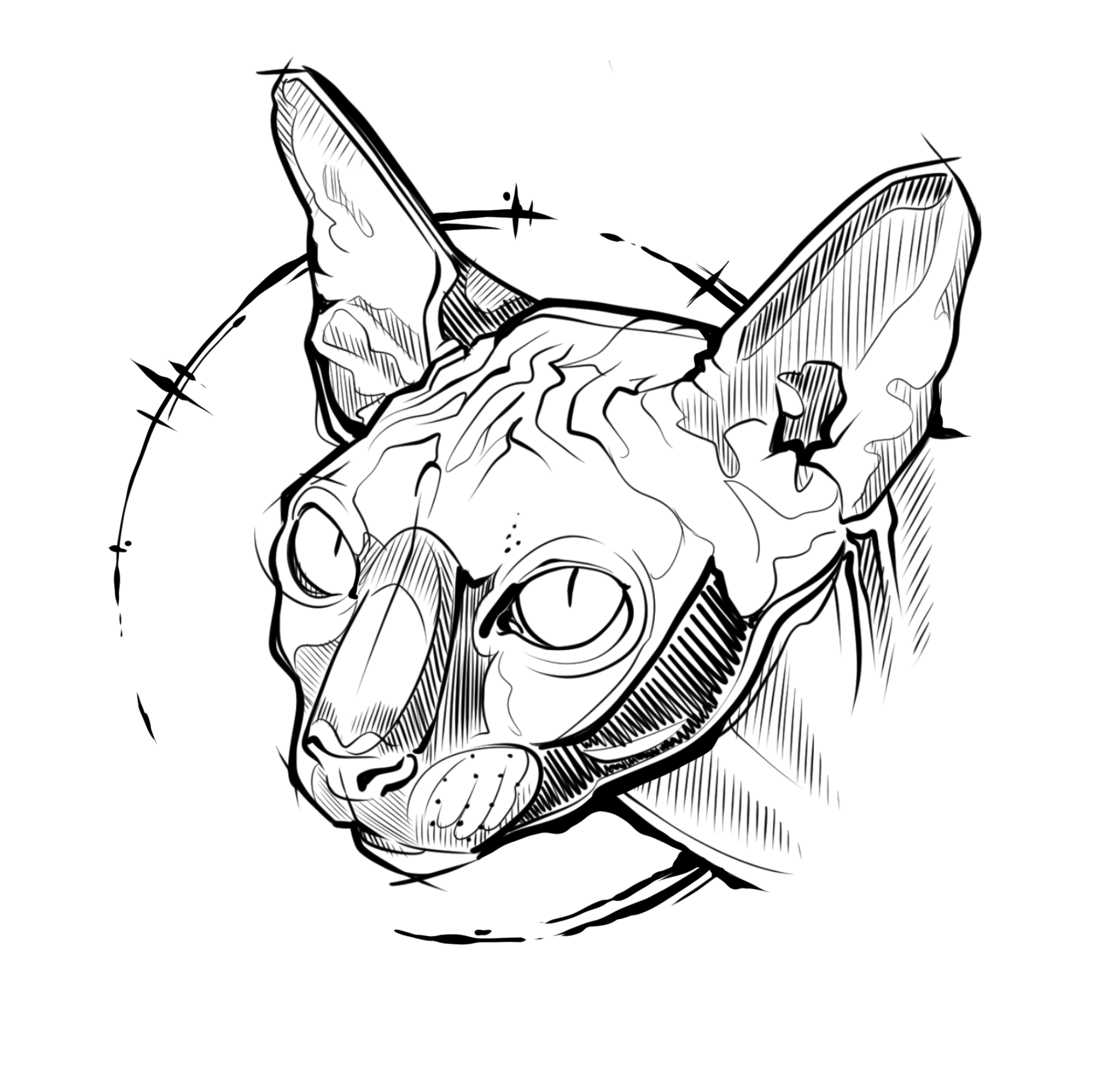 Size: 15cm | Price: $500