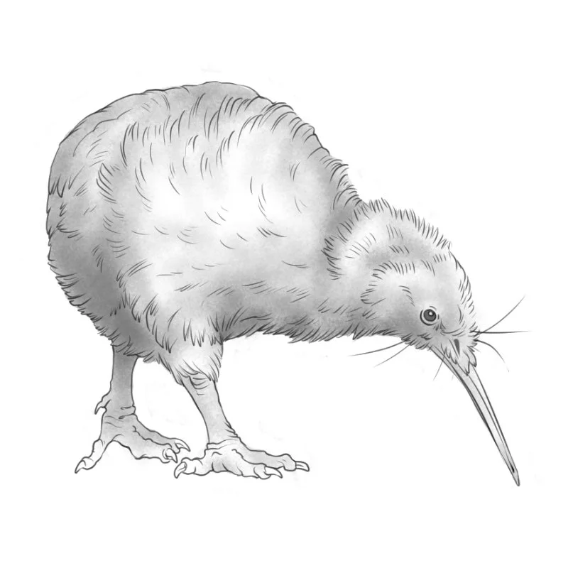 Size: 8cm | Price: $250