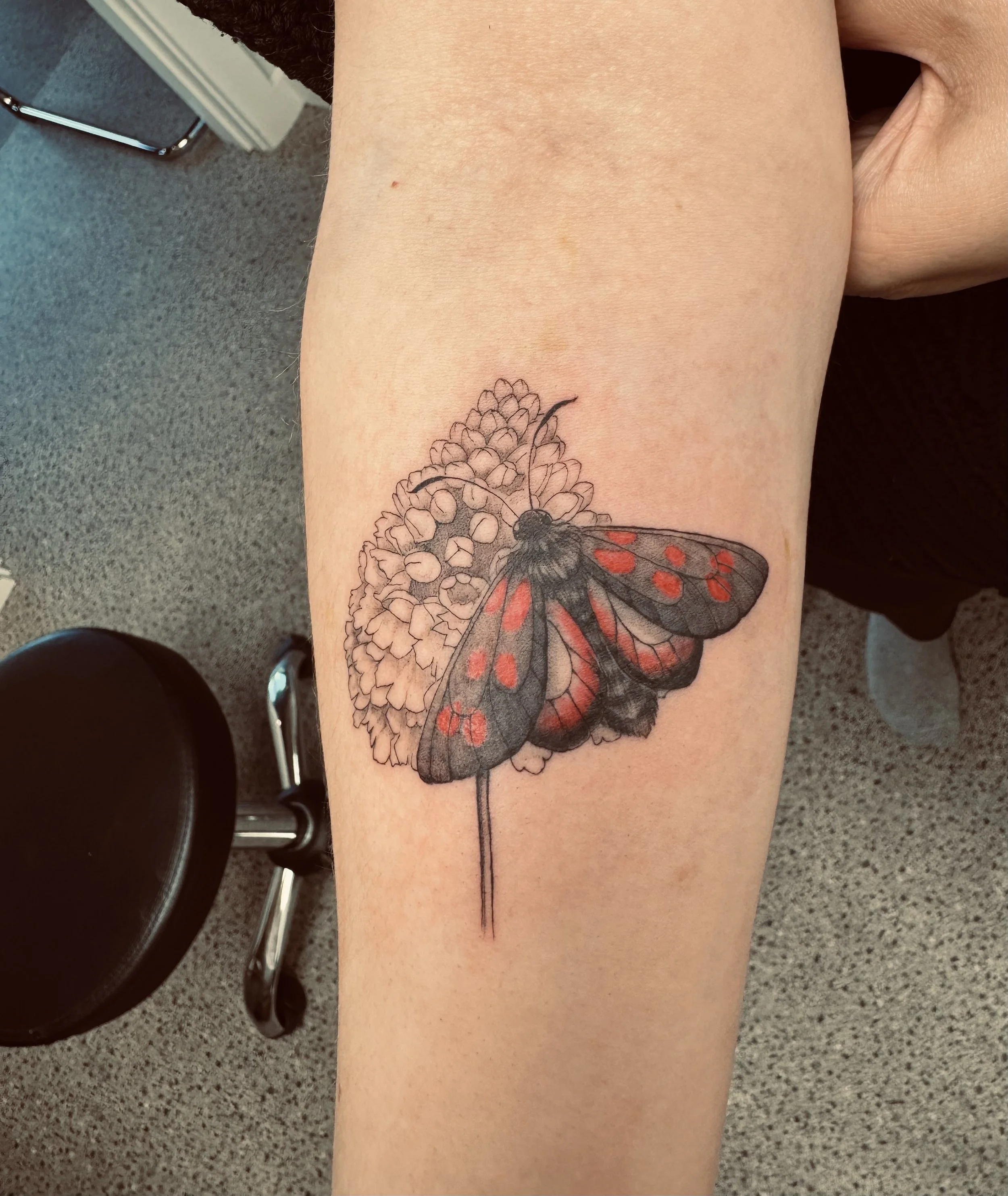 Black and white fineline moth with simple shading and a pop of soft red colouring asked for by the client. Done in Frankton, nz