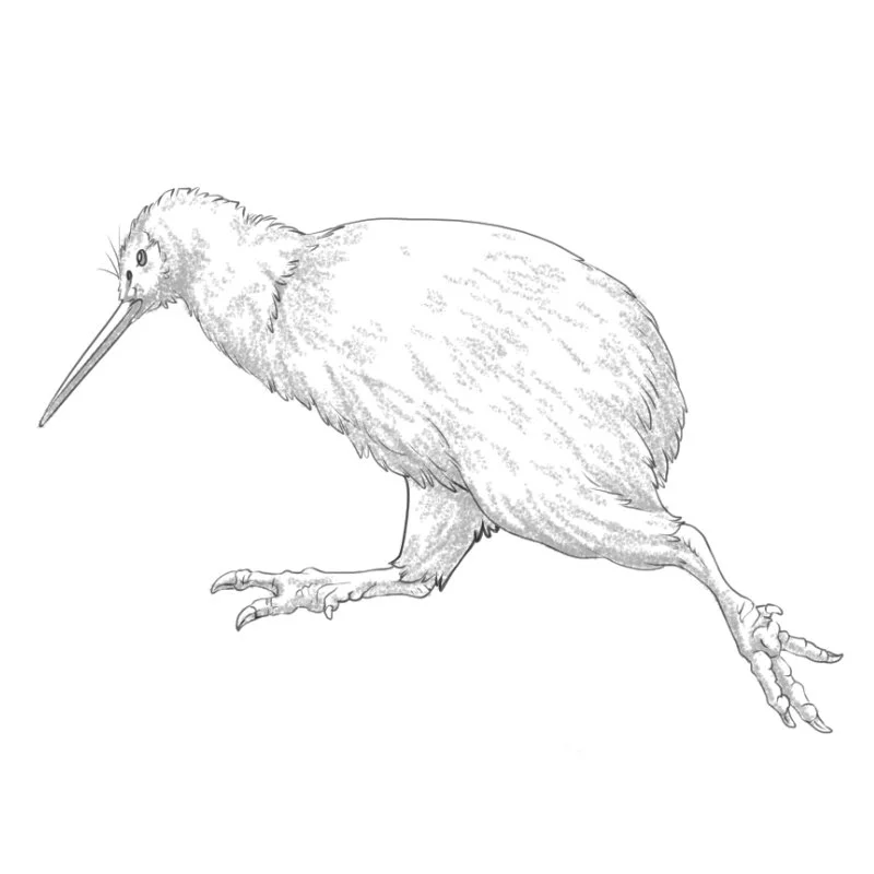 Size: 8cm | Price: $250