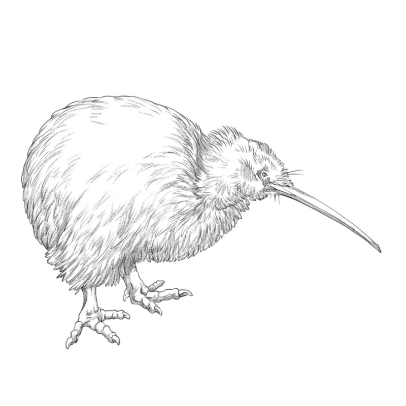 Size: 8cm | Price: $250