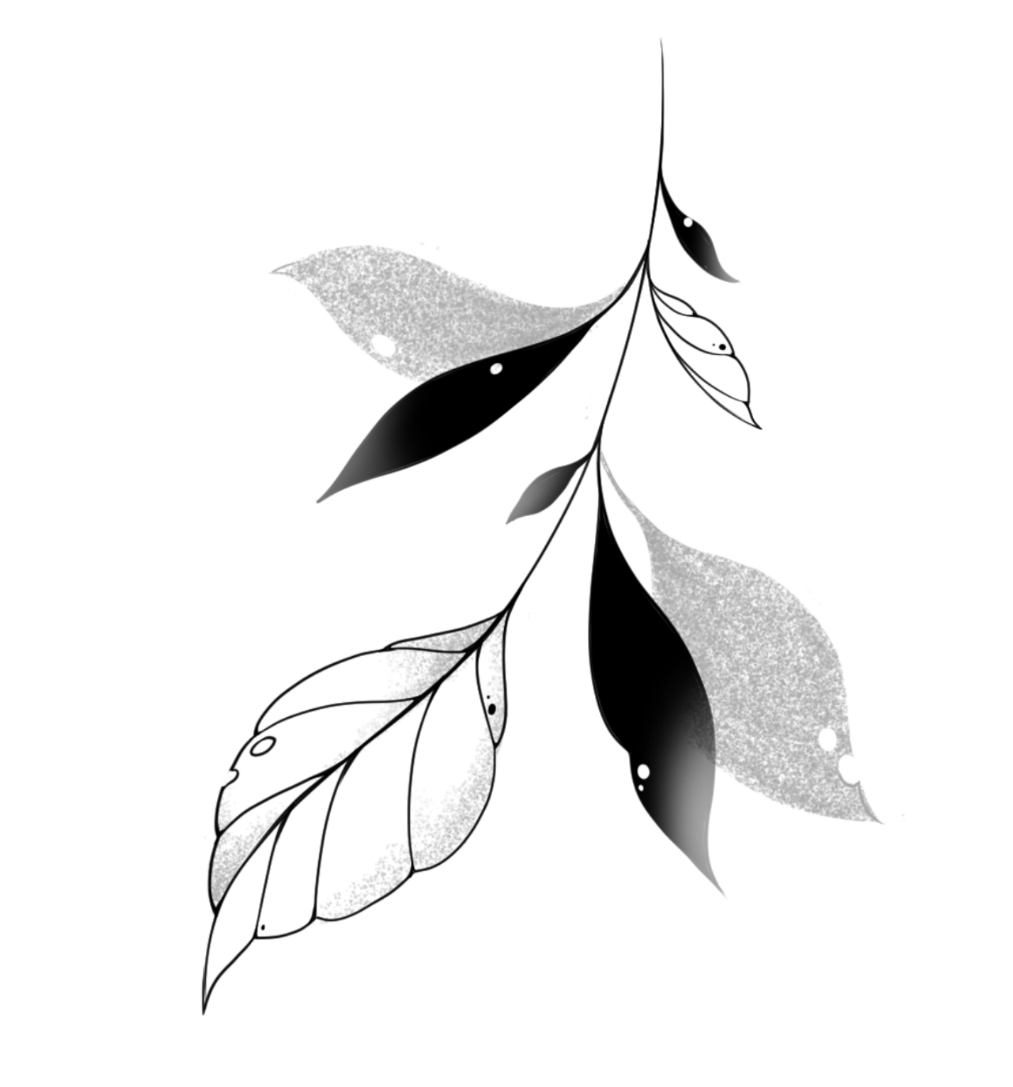 Size: 10cm | Price: $250