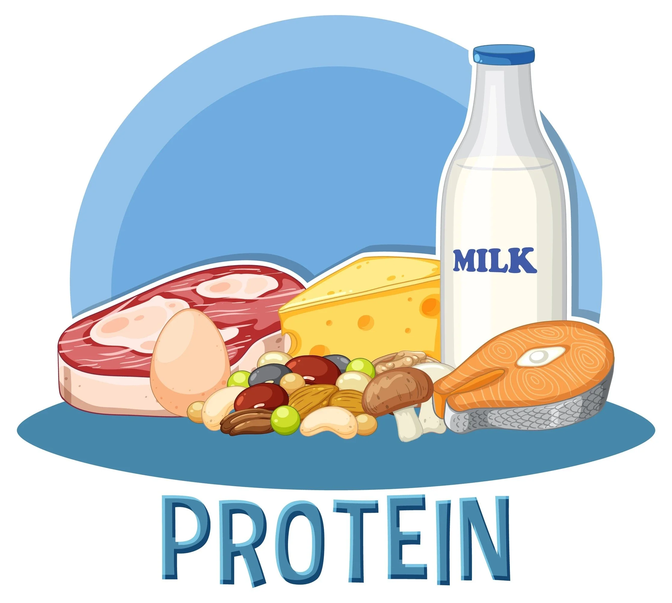 EATING PROTEIN: WHAT YOU NEED TO KNOW
