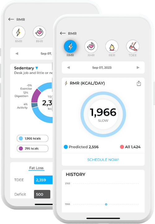 RMR metabolism results shown in the DexaFit ai app
