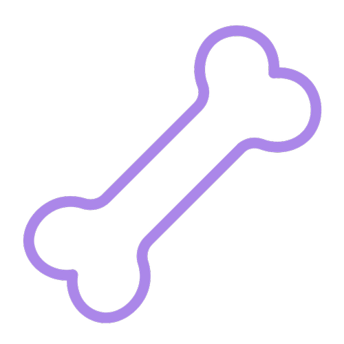 Bone density testing icon