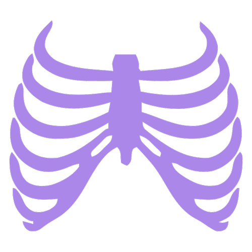 Skeletal health insights icon