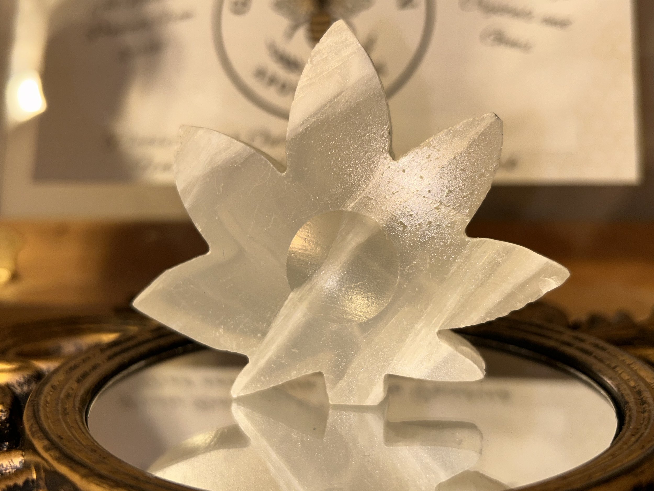 selenite leaf (a).jpeg