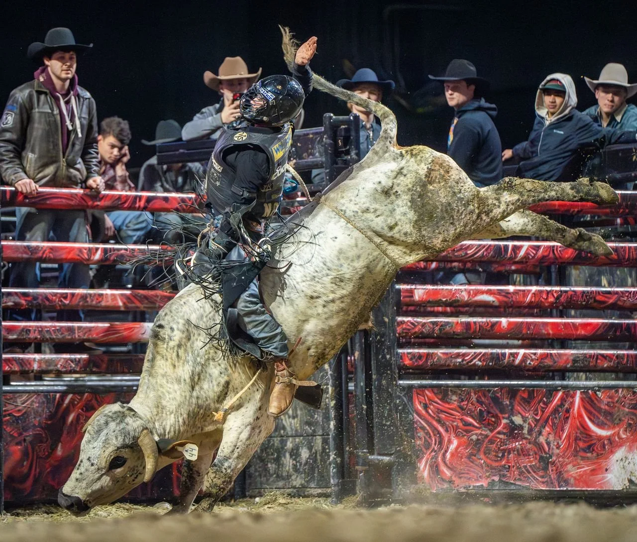 Cody Nance Action 2.jpeg