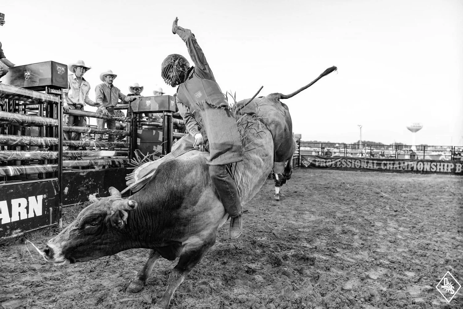 Professional Championship Bull Riders