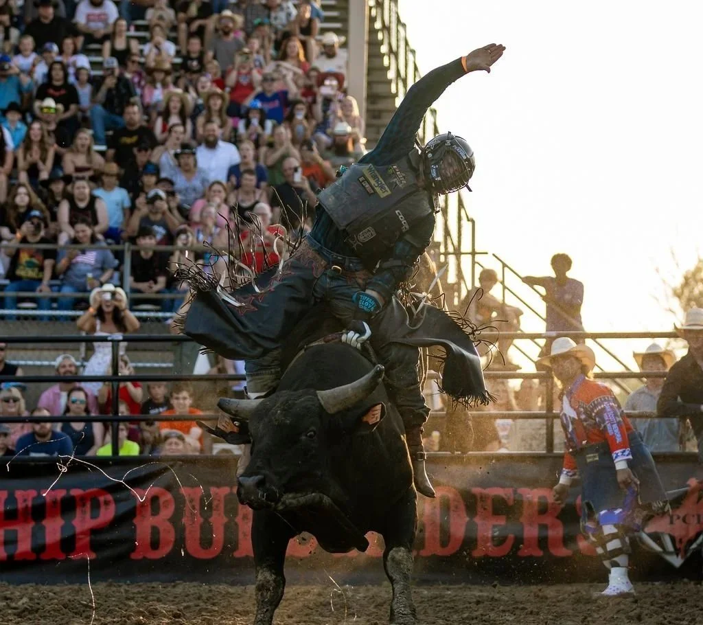 Results — Professional Championship Bull Riders