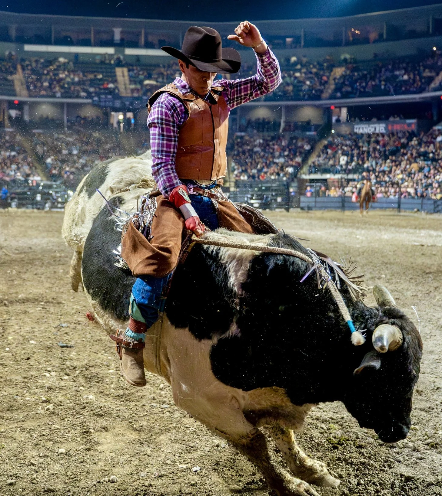 Results — Professional Championship Bull Riders