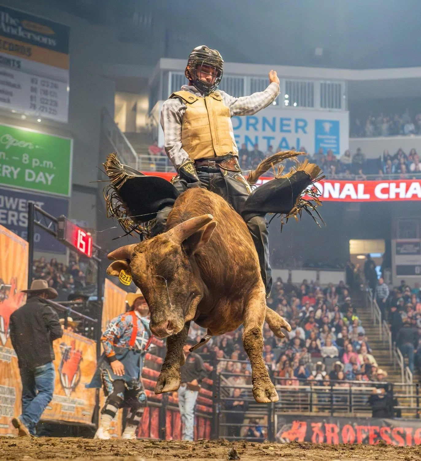 RODEO 101 — Professional Championship Bull Riders