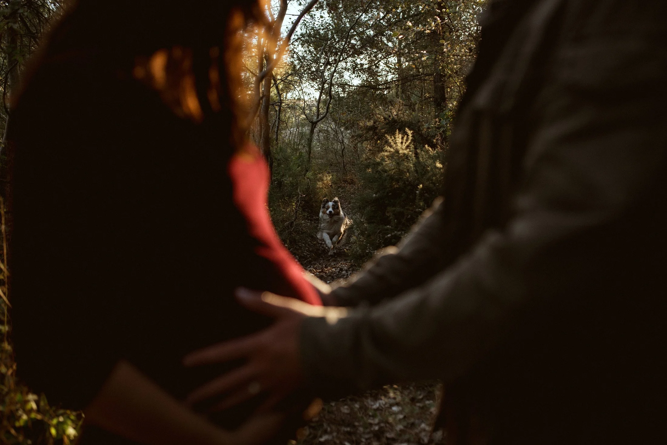 séance grossesse hague photographe cherbourg3.jpg