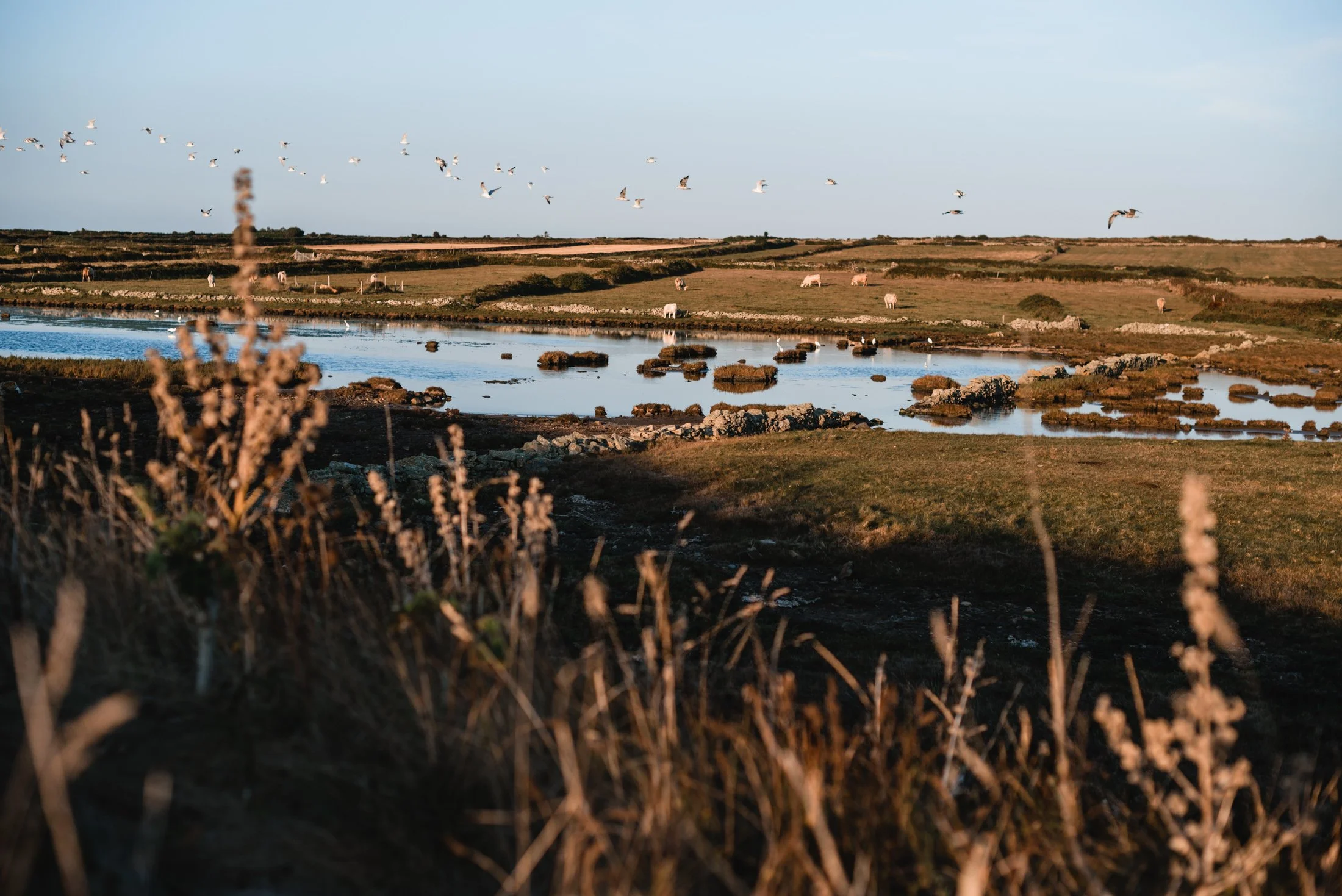 phare de goury photographe cherbourg paysages cotentin.jpg