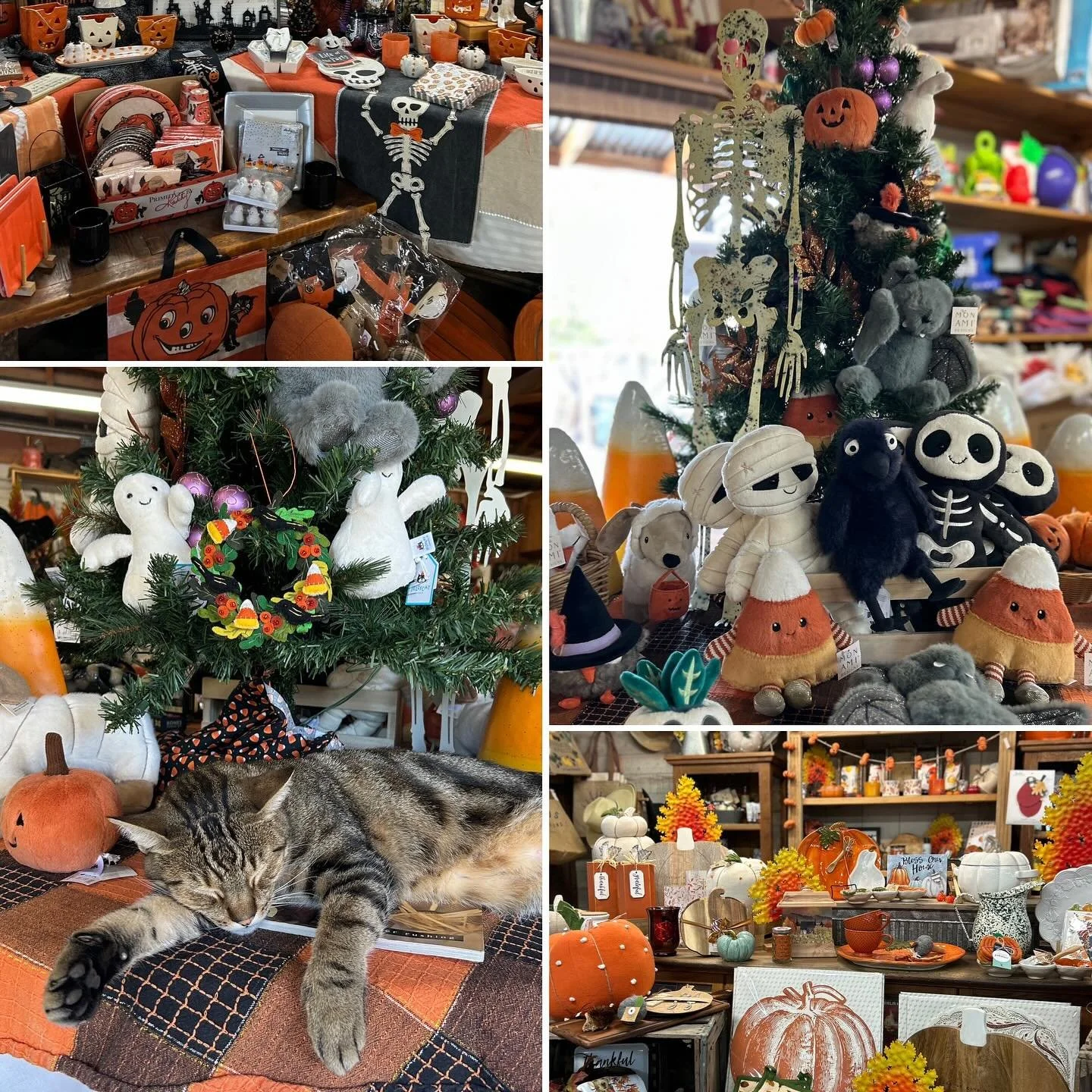 Fall has arrived at the store! We are excited to bring ALL NEW home decor, gifts, and more to you! There is so much to see and something for everyone. Make sure to check it out on your next visit! 🍁🍂🎃👻🧡 
.
.
.
.
.
#falldecorations #fallgiftideas