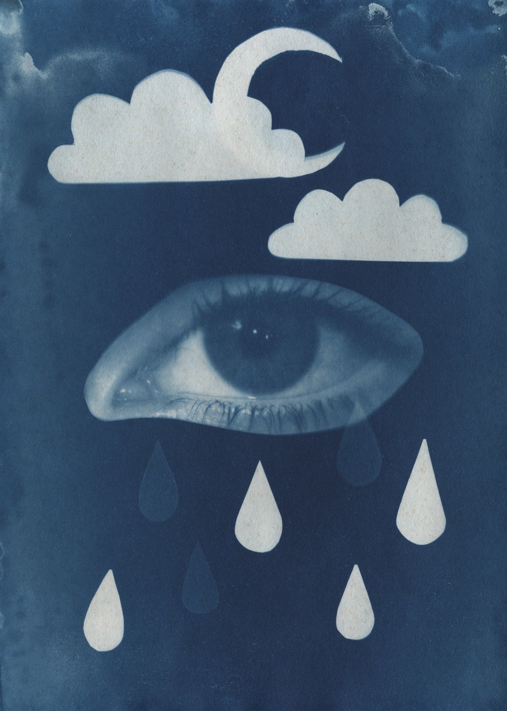 From Cats of Kerkyra -collection, 35mm film and cyanotype, 2026