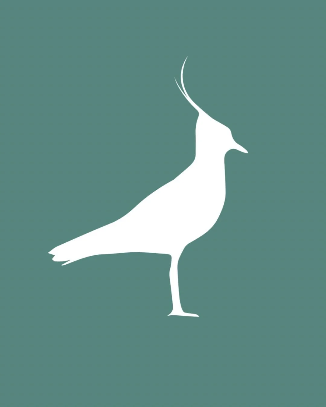 Lapwing Deli 