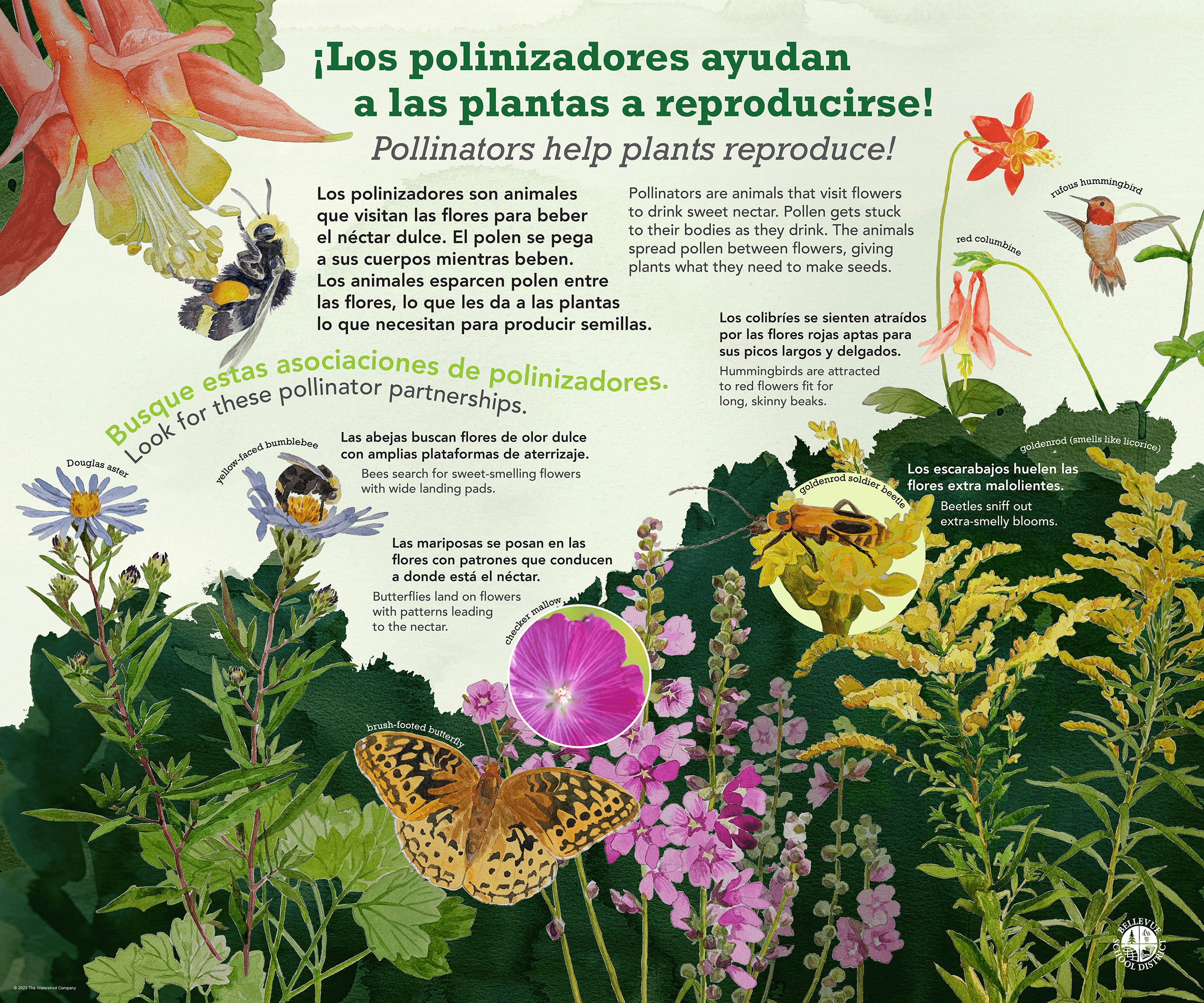 Puesta del Sol School