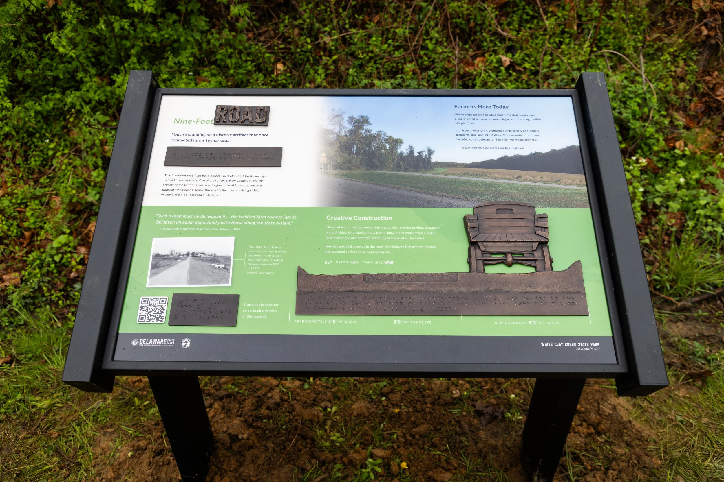 Interpretive Signs — Studio Understory