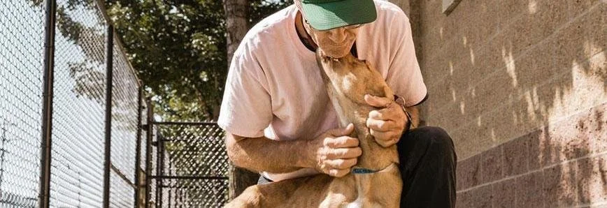 Pet Adoption Fees Covered + Foster Homes Wanted</a>