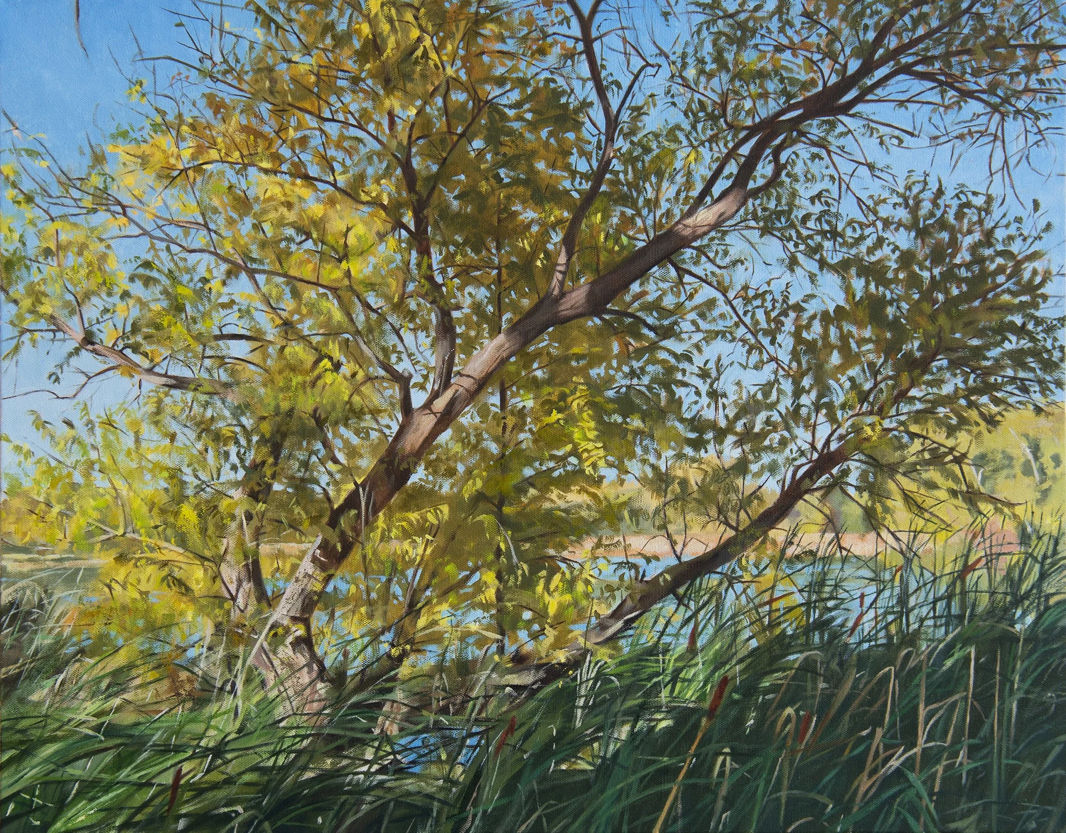 Lyon - Cedar Lake.jpg