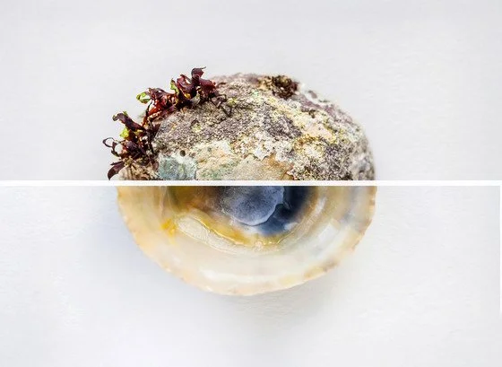 Sound Bath Workshops