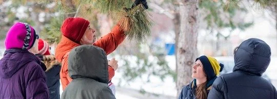 Winter Nature Activities