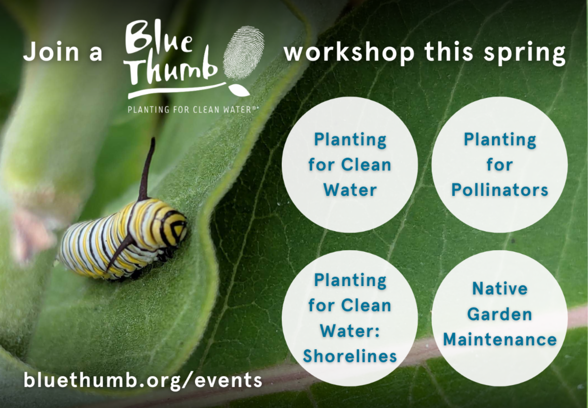 Spring Blue Thumb Workshops