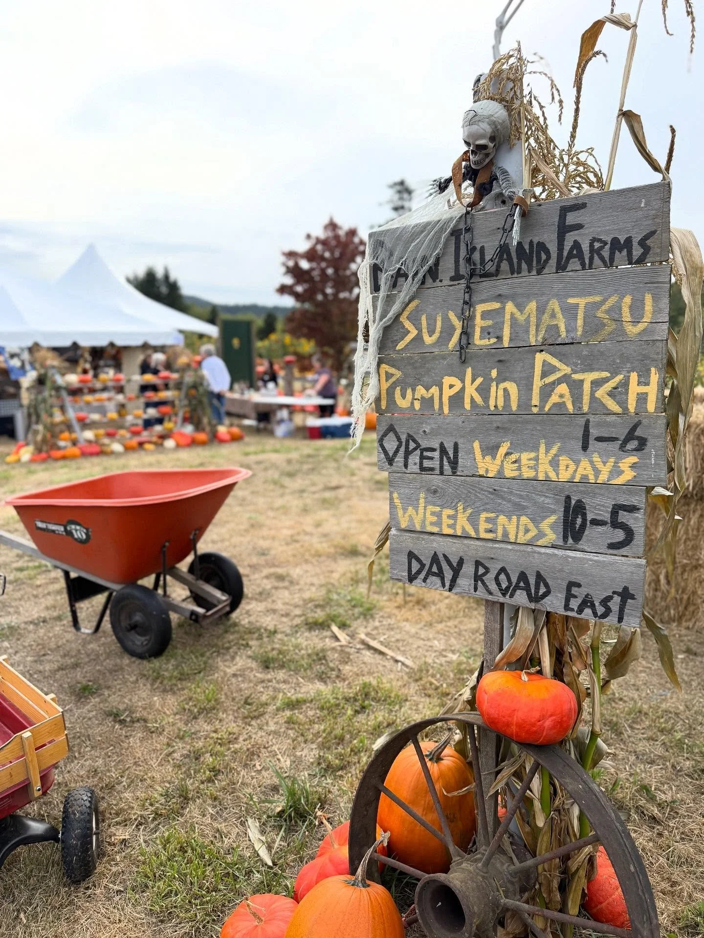 What a fun Chamber After Hours! Big thank you to @bainbridgeislandsuyematsufarms and @bainbridgevineyards for giving our Chamber members a sneak peek of the farm this year before it opened! The night was just beautiful and we loved hearing all about 