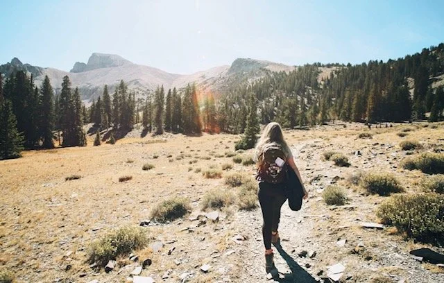 Movement as Medicine: How Exercise Reduces Inflammation and Supports Healing 