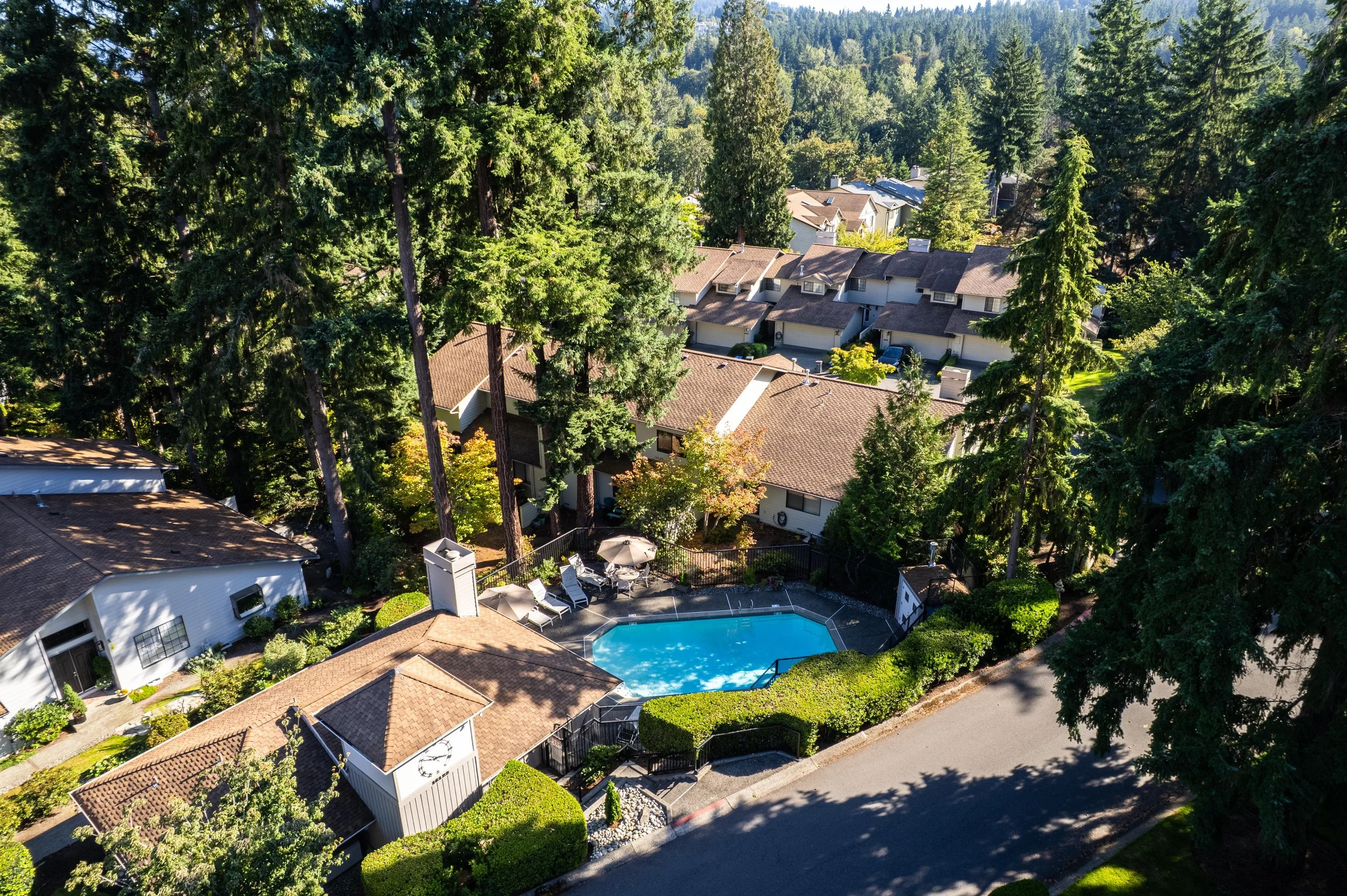 16181-SE-33rd-Cir-Bellevue-Drone-3.jpg
