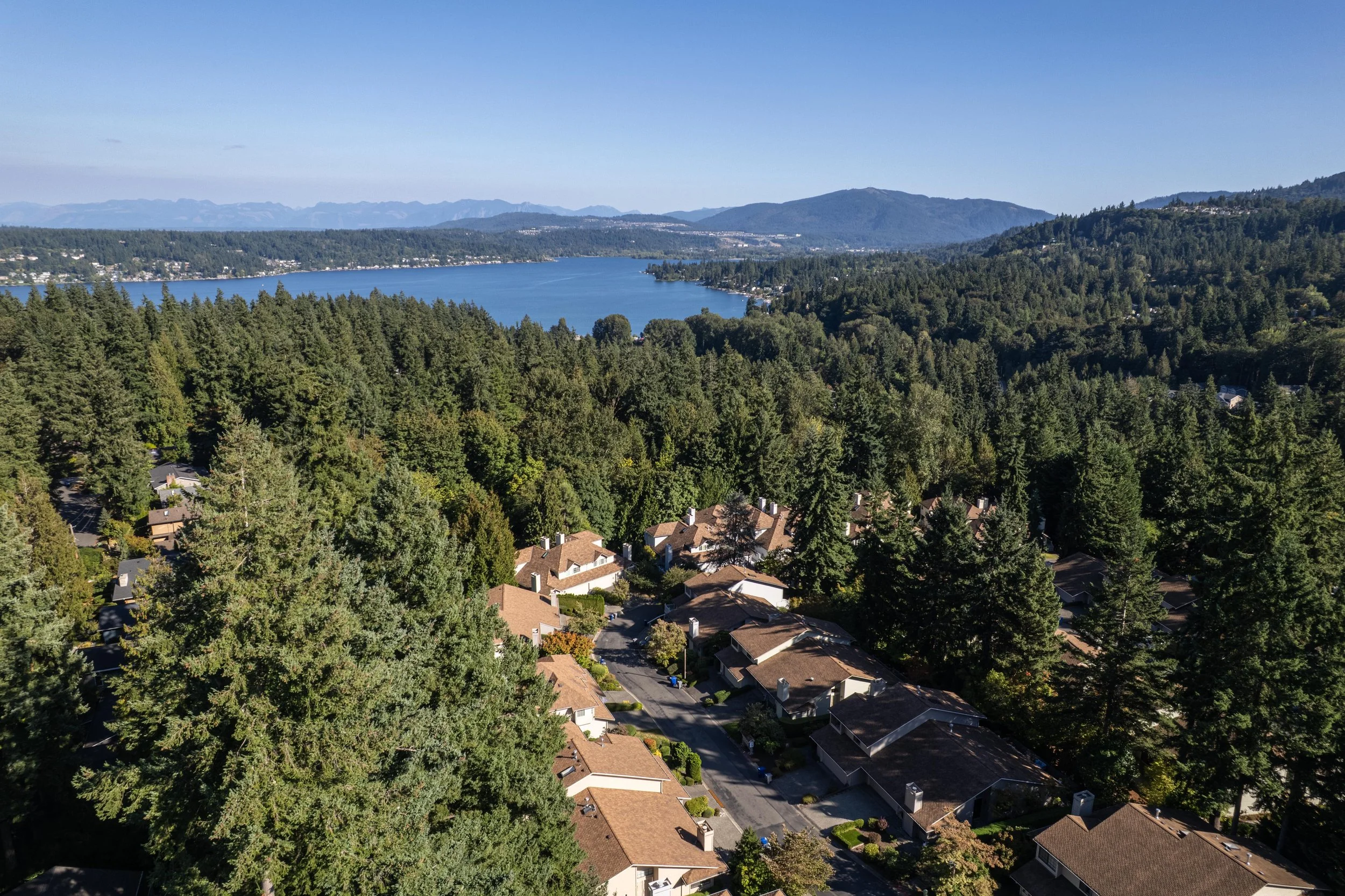 16181-SE-33rd-Cir-Bellevue-Drone-4.jpg