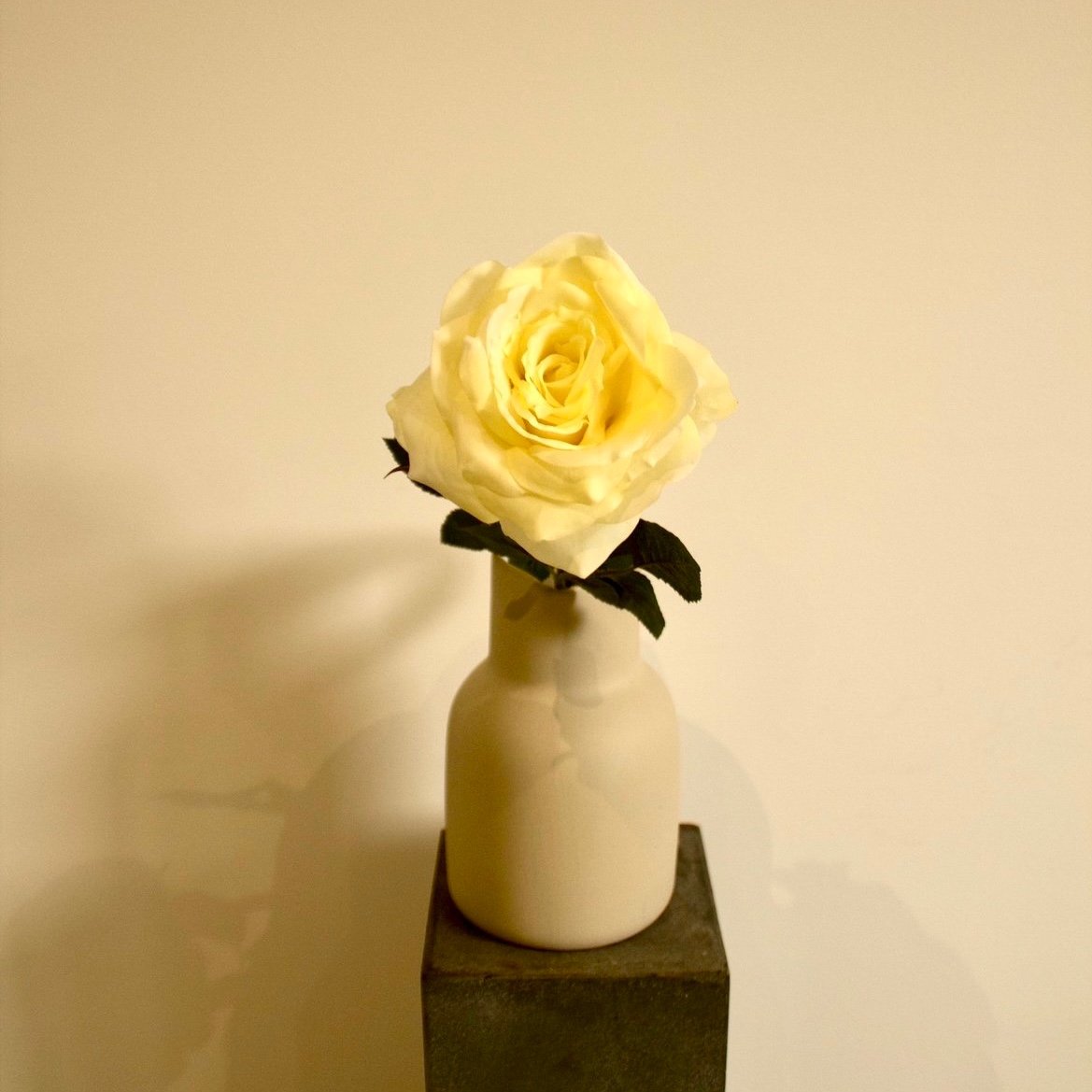 IMG_4905+2.jpg