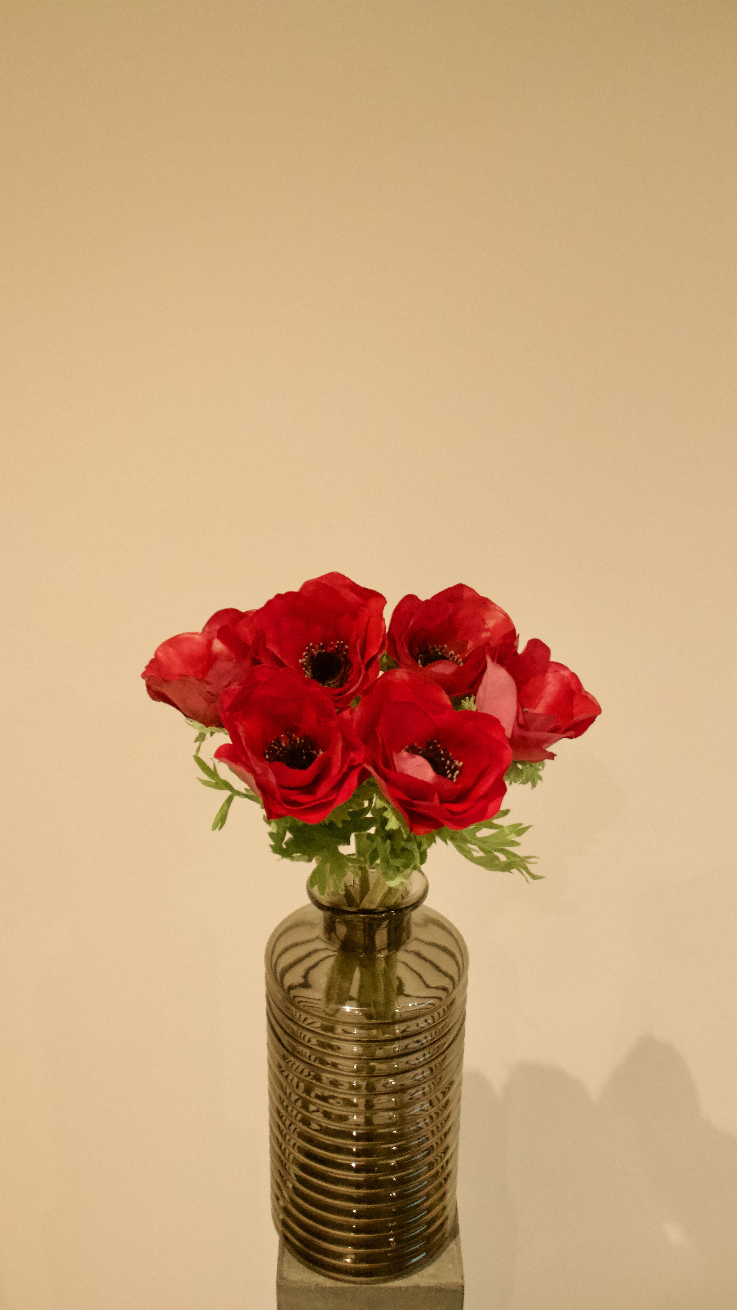 Élégance et intensité – Bouquet d'Anémones Rouges