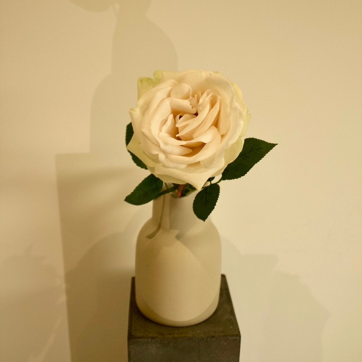 IMG_4906+2.jpg