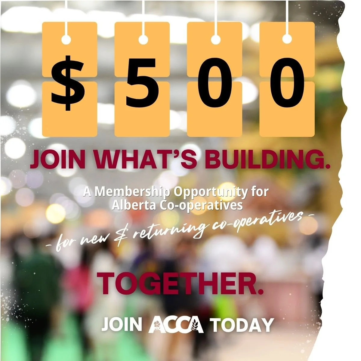 Join What’s Building for Alberta Co-ops