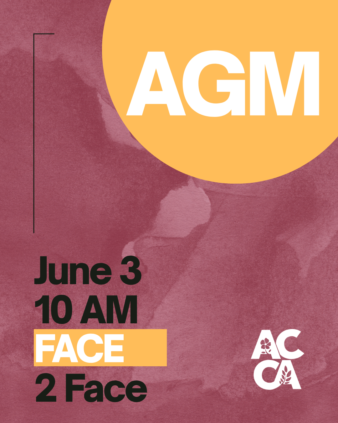 Annual General Meeting 